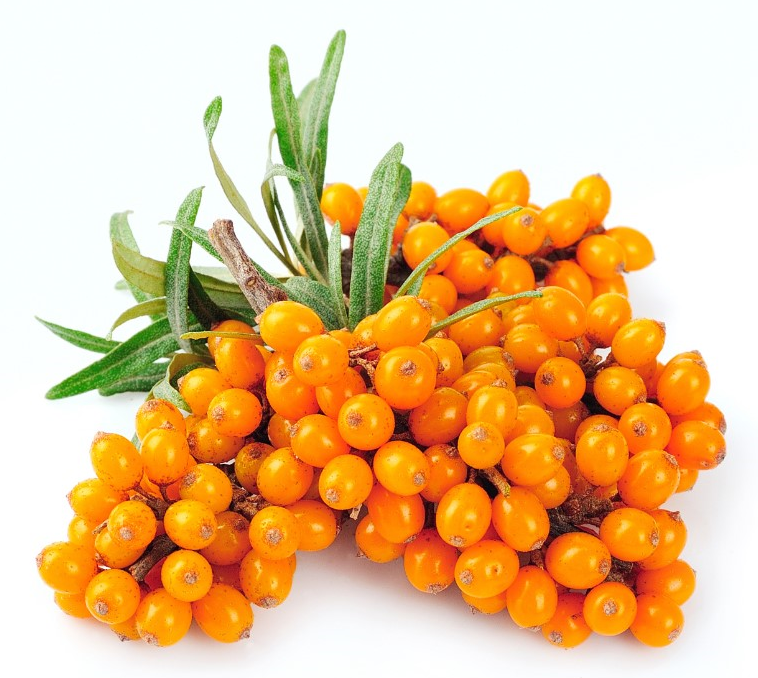 Sea berry plody